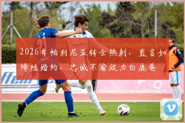 2026年帕利尼亚转会热刺，直言如缔结婚约，忠诚不渝效力白鹿巷