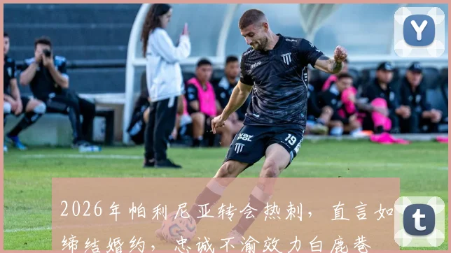 2026年帕利尼亚转会热刺，直言如缔结婚约，忠诚不渝效力白鹿巷