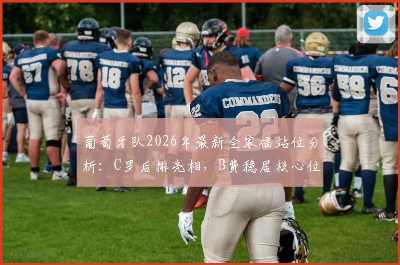 葡萄牙队2026年最新全家福站位分析：C罗后排亮相，B费稳居核心位置引热议